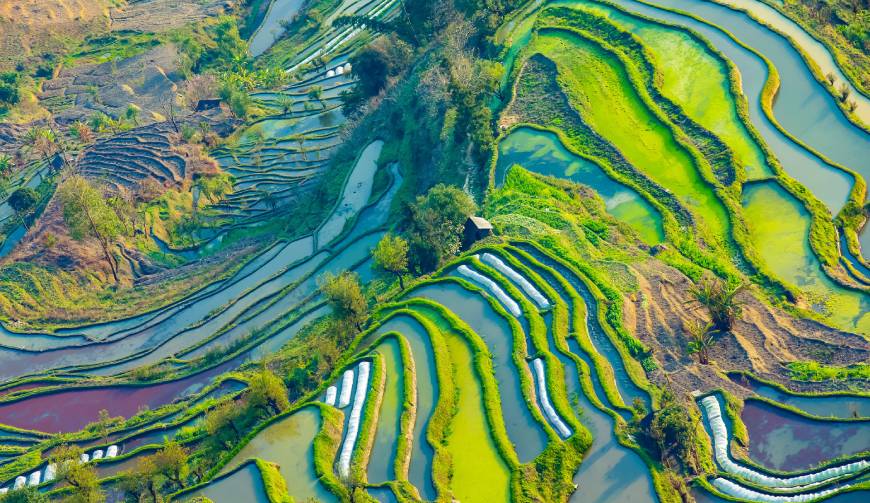 宝妈必备神器：青山区产品视频拍摄轻松育儿好帮手
